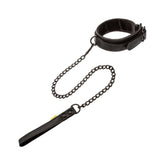 Boundless Collar & Leash